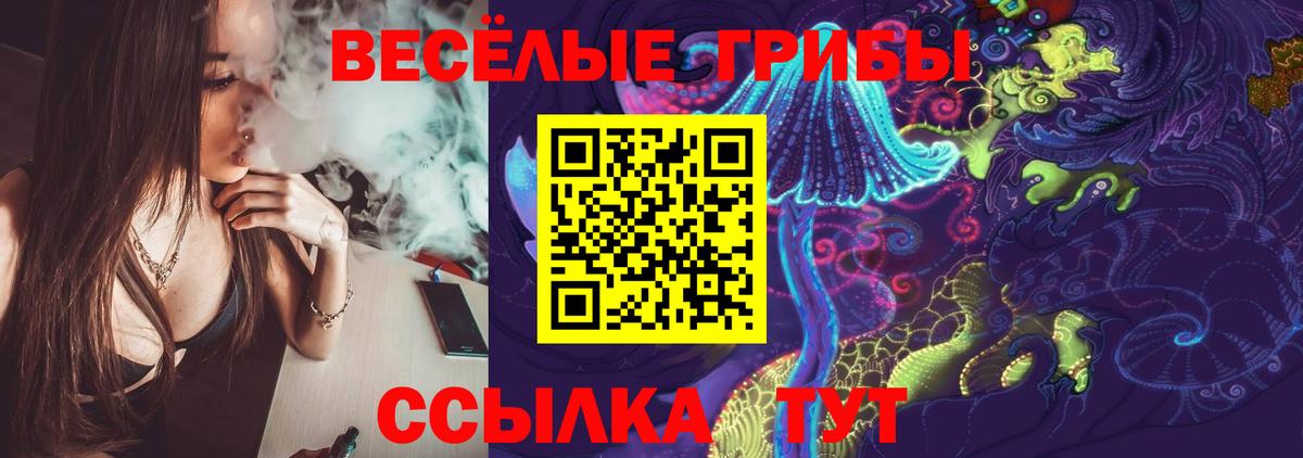 Галлюциногенные грибы GOLDEN TEACHER Новосибирск